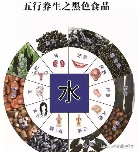 五行属水的食物|食物的五行属性，一年四季分别要吃什么？